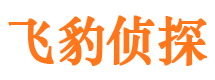 双流专业找人